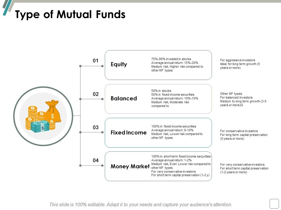Type_Of_Mutual_Funds_Ppt_PowerPoint_Presentation_File_Maker_Slide_1.jpg