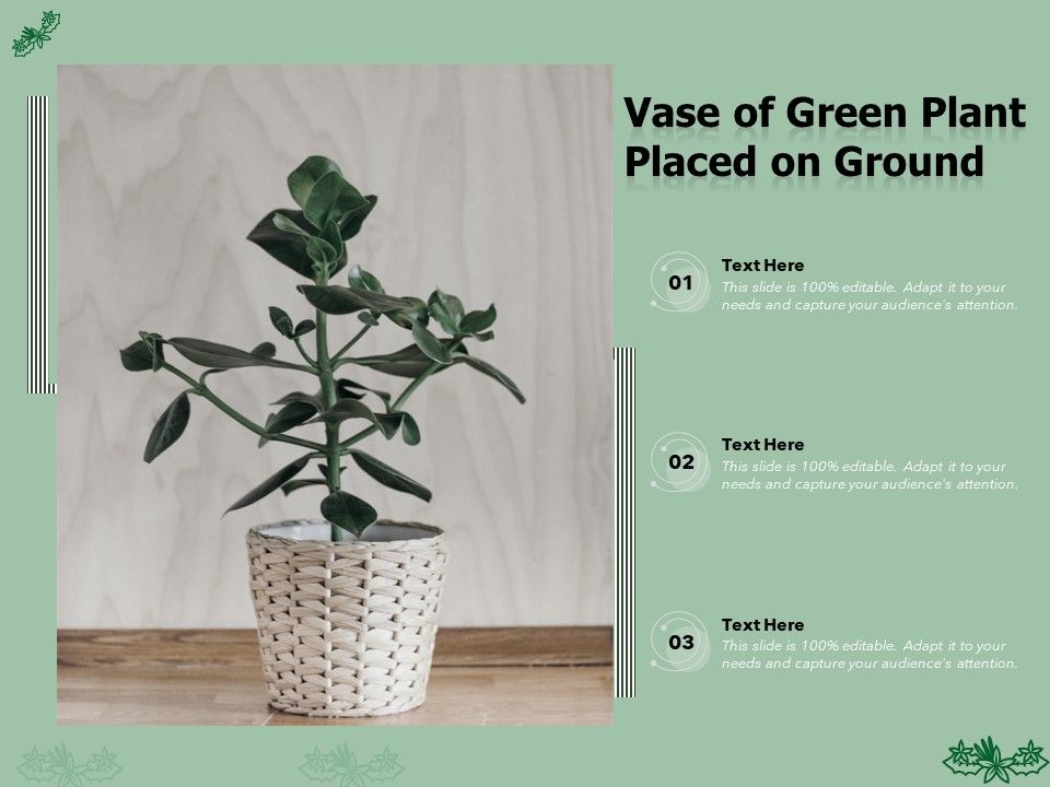 Vase_Of_Green_Plant_Placed_On_Ground_Ppt_PowerPoint_Presentation_Images_PDF_Slide_1.jpg