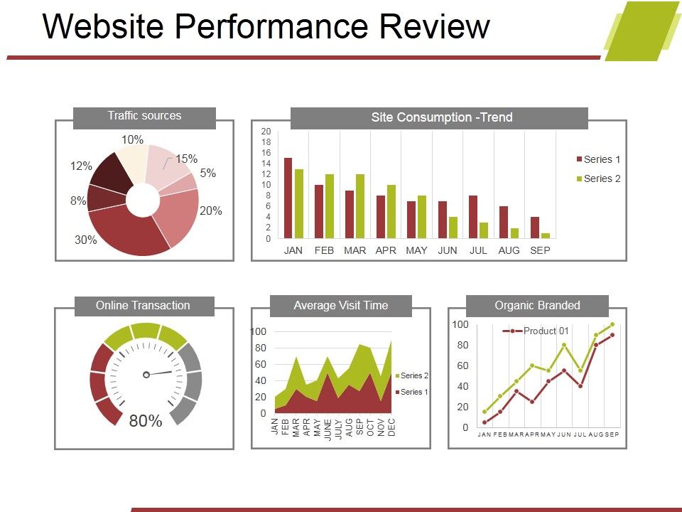 Website_Performance_Review_Template_1_Ppt_PowerPoint_Presentation_Portfolio_Master_Slide_Slide_1.jpg