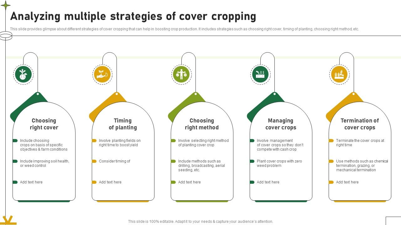 Analyzing Multiple Strategies Of Cover Cropping Adopting Sustainable Farming Techniques