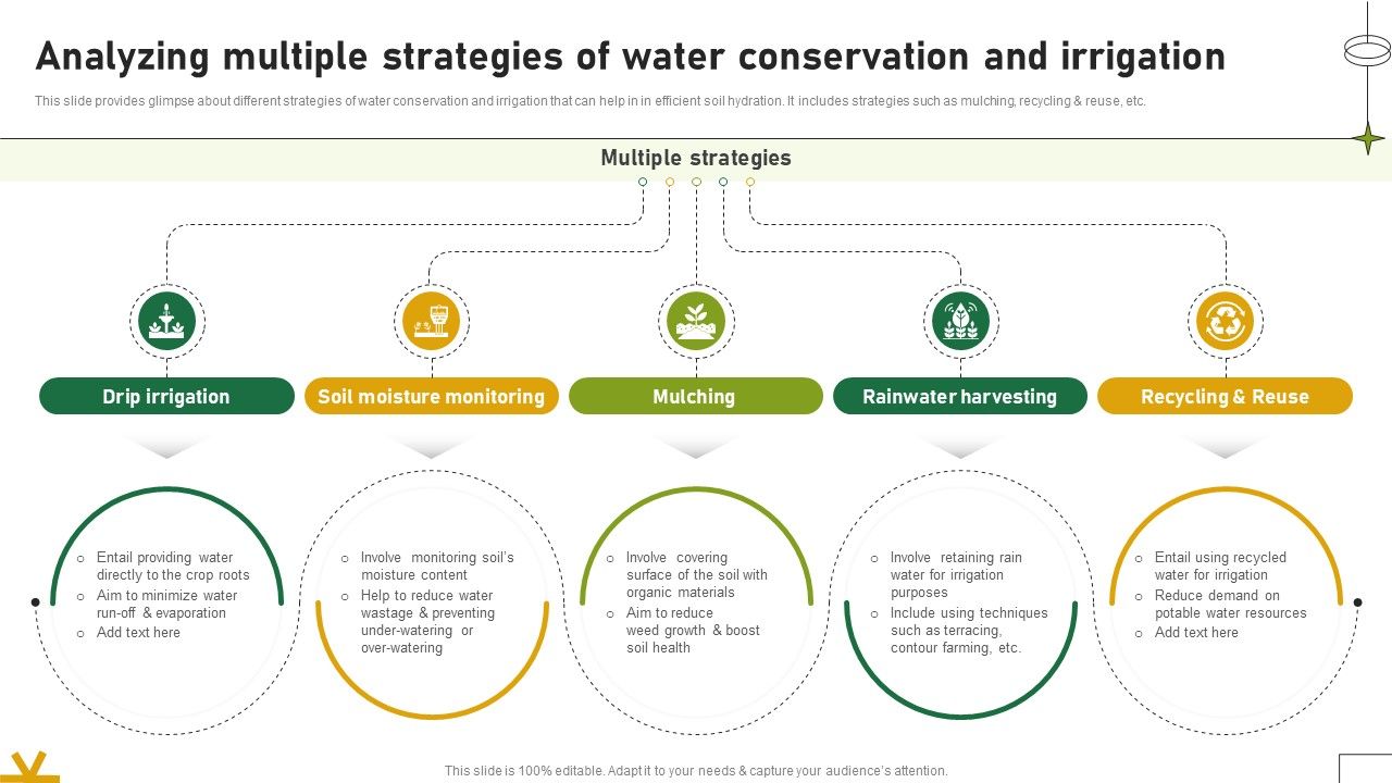 Analyzing Multiple Strategies Of Water Conservation And Irrigation Adopting Sustainable Farming Techniques
