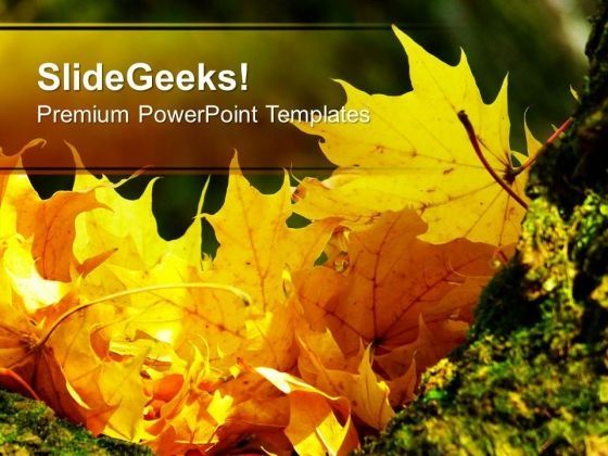 autumn_leaves_fall_beautiful_theme_powerpoint_templates_ppt_backgrounds_for_slides_0613_title.jpg