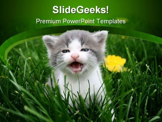 baby_cat_animals_powerpoint_themes_and_powerpoint_slides_0211_title.jpg