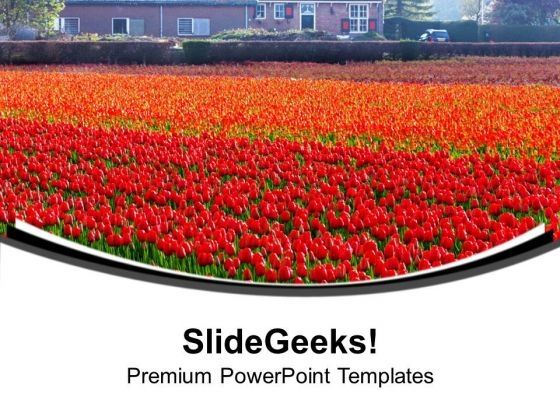 beautiful_tulips_garden_decoration_powerpoint_templates_ppt_backgrounds_for_slides_0313_title.jpg