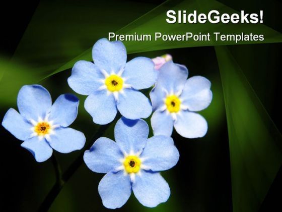 blue_flowers_beauty_powerpoint_templates_and_powerpoint_backgrounds_0311_title.jpg