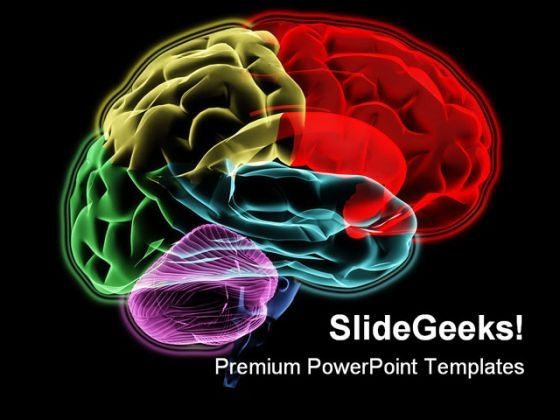 brain_medical_powerpoint_template_0610_title.jpg
