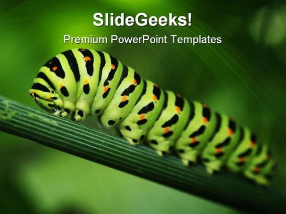 caterpillar_animals_powerpoint_templates_and_powerpoint_backgrounds_0211_title.jpg