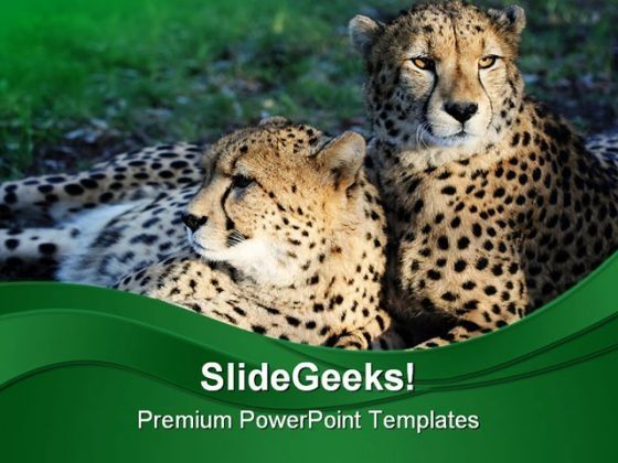 cheetah_wild_cats_animals_powerpoint_themes_and_powerpoint_slides_0211_title.jpg