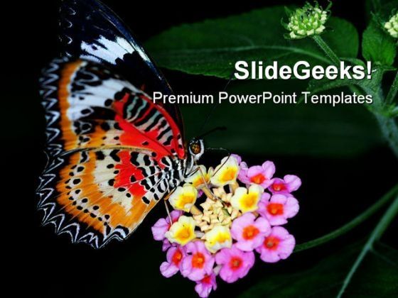 colorful_butterfly_animals_powerpoint_templates_and_powerpoint_backgrounds_0211_title.jpg