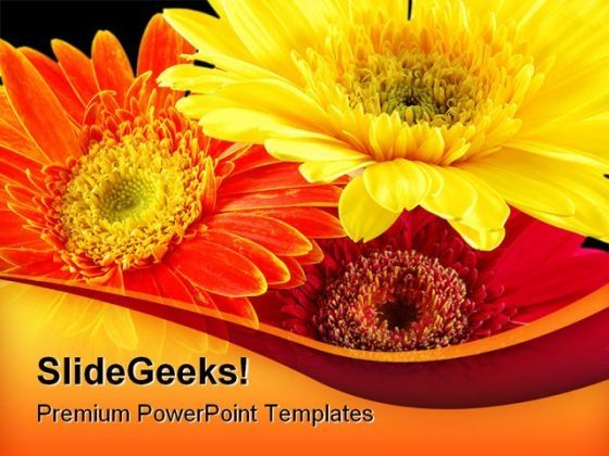 colorful_gerber_daisies_beauty_powerpoint_templates_and_powerpoint_backgrounds_0211_title.jpg