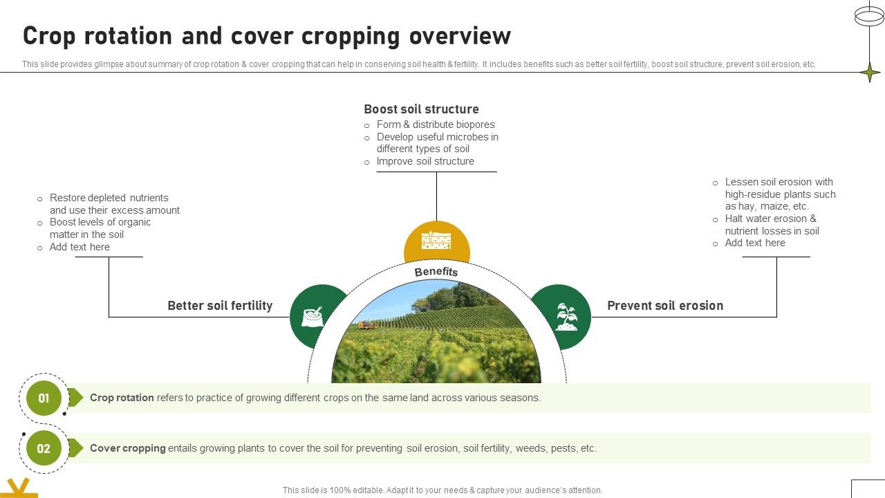 Crop Rotation And Cover Cropping Overview Adopting Sustainable Farming Techniques