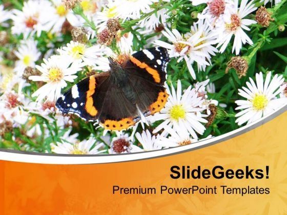 daisy_flower_with_butterfly_nature_theme_powerpoint_templates_ppt_backgrounds_for_slides_0513_title.jpg