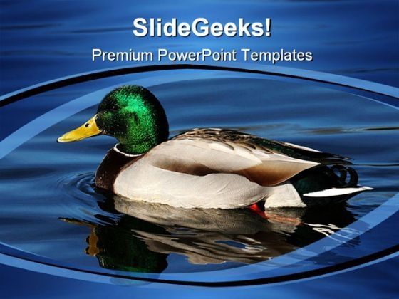 drake_reflection_beach_powerpoint_themes_and_powerpoint_slides_0211_title.jpg