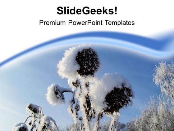 each_flower_become_white_with_snow_in_winters_powerpoint_templates_ppt_backgrounds_for_slides_0613_title.jpg