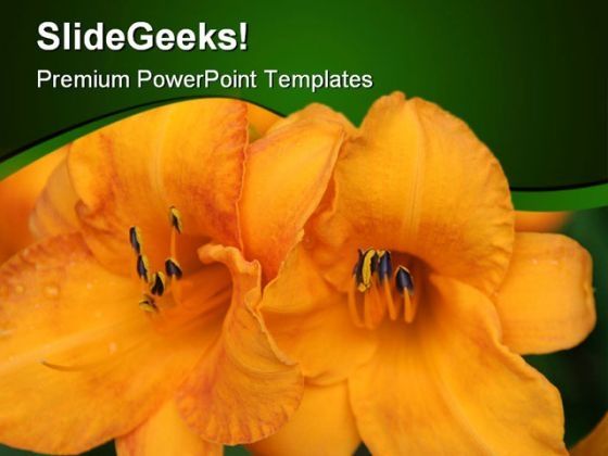 flower_beauty_powerpoint_templates_and_powerpoint_backgrounds_0311_title.jpg