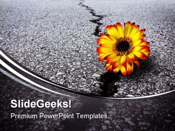 flower_in_asphalt_metaphor_powerpoint_themes_and_powerpoint_slides_0611_title.jpg