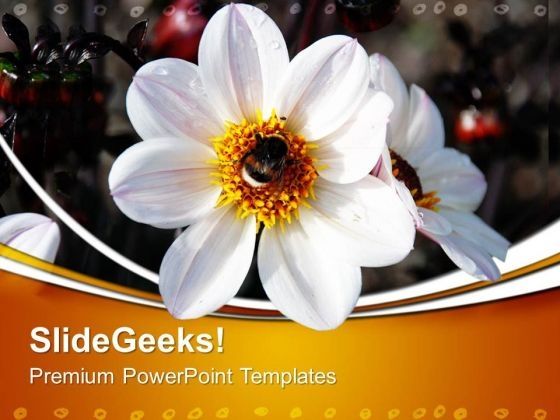 flower_nature_powerpoint_templates_and_powerpoint_themes_0512_title.jpg