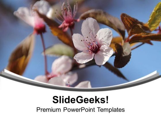 flowers_for_happiness_theme_powerpoint_templates_ppt_backgrounds_for_slides_0513_title.jpg