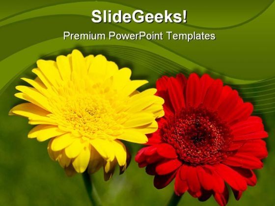 gerbera_flower_nature_powerpoint_template_1110_title.jpg