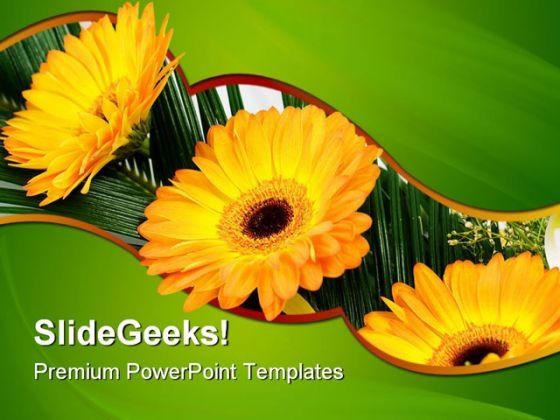 gerbers_flowers_beauty_powerpoint_themes_and_powerpoint_slides_0511_title.jpg