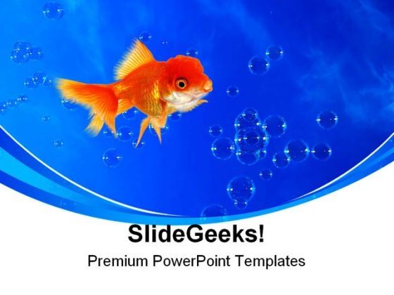 golden_fish02_animals_powerpoint_templates_and_powerpoint_backgrounds_0211_title.jpg