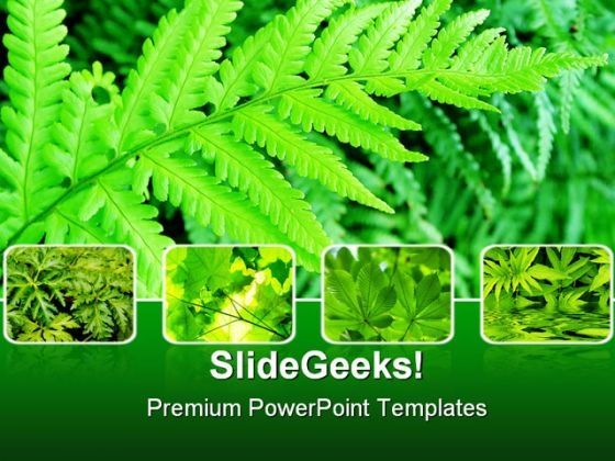 green_fern_bushes_nature_powerpoint_themes_and_powerpoint_slides_0411_title.jpg