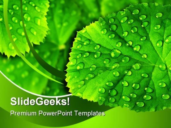 green_leaf_with_drops_nature_powerpoint_templates_and_powerpoint_backgrounds_0511_title.jpg