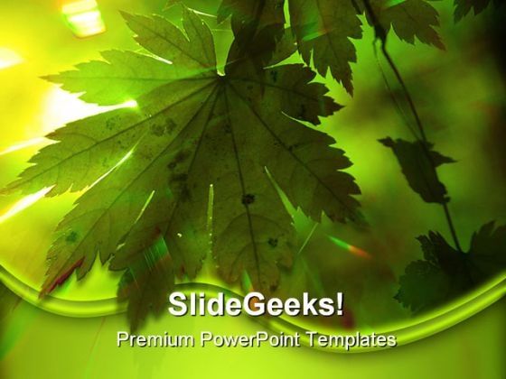 green_leaves_nature_powerpoint_backgrounds_and_templates_1210_title.jpg