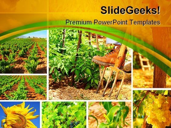 harvest_concept_collage_agriculture_powerpoint_themes_and_powerpoint_slides_0411_title.jpg