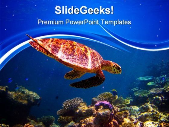 hawksbill_turtle_swimming_animals_powerpoint_themes_and_powerpoint_slides_0511_title.jpg