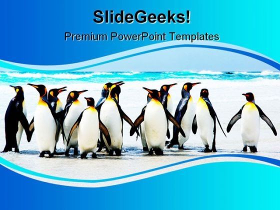 kings_of_the_beach_animals_powerpoint_template_1110_title.jpg