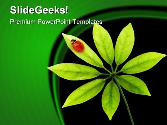 lady_bug_nature_powerpoint_template_0910_title.jpg