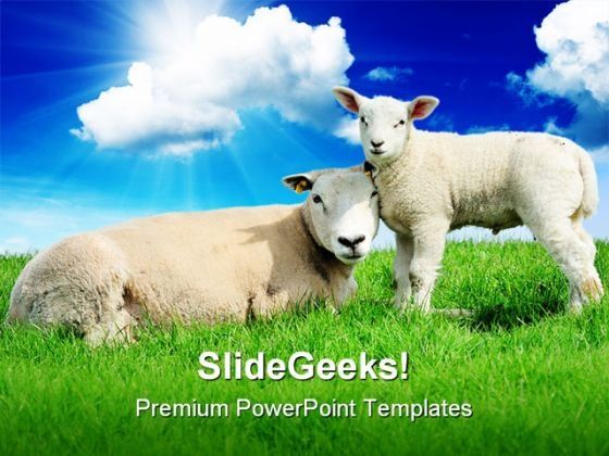 lamb_animals_powerpoint_template_0910_title.jpg