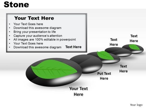 leaf_on_stone_powerpoint_slides_and_ppt_diagram_templates_1.jpg