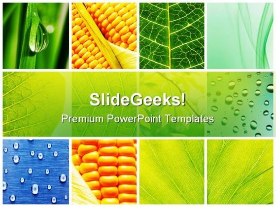leaves_collage_nature_powerpoint_themes_and_powerpoint_slides_0811_title.jpg