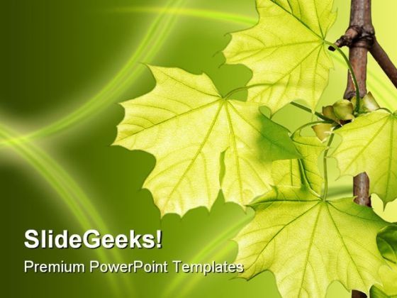 leaves_green_nature_powerpoint_template_1110_title.jpg