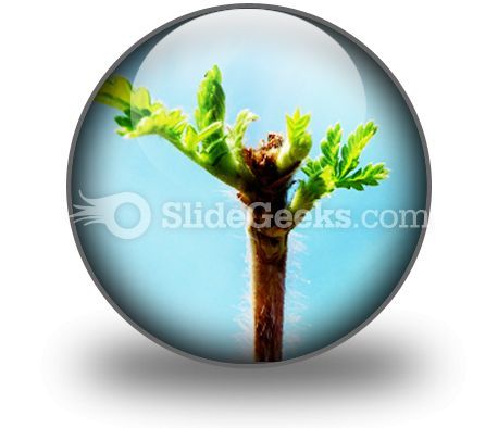 leaves_icon_c.jpg