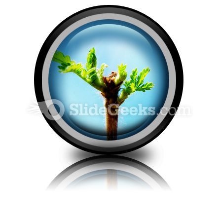 leaves_icon_cc.jpg