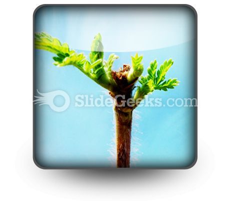 leaves_icon_s.jpg
