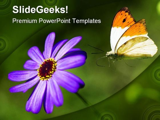 lilac_flower_beauty_powerpoint_template_0810_title.jpg