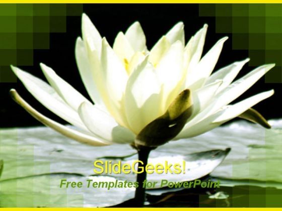 lily_0109_title.jpg