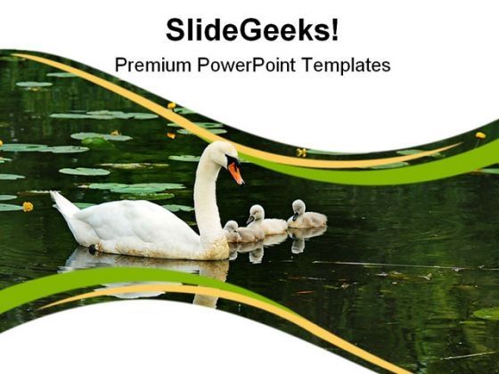mother_swan_with_babies_family_powerpoint_templates_and_powerpoint_backgrounds_0911_title.jpg