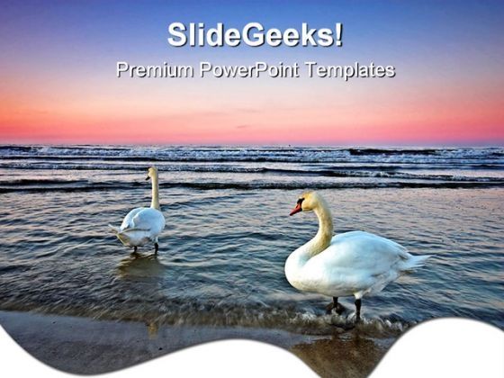ocean_sunset_with_ducks_nature_powerpoint_templates_and_powerpoint_backgrounds_0611_title.jpg