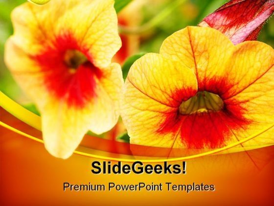 orange_flowers_beauty_powerpoint_templates_and_powerpoint_backgrounds_0211_title.jpg
