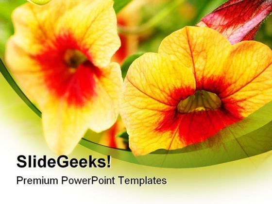orange_flowers_nature_powerpoint_backgrounds_and_templates_0111_title.jpg