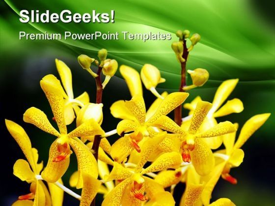 orchids_flower_beauty_powerpoint_themes_and_powerpoint_slides_0511_title.jpg