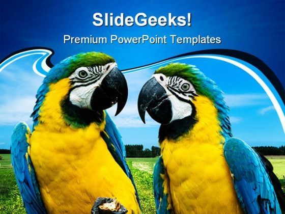 parrots_in_love_beauty_powerpoint_themes_and_powerpoint_slides_0211_title.jpg