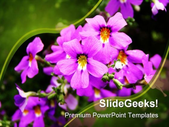 pink_flowers01_beauty_powerpoint_templates_and_powerpoint_backgrounds_0311_title.jpg