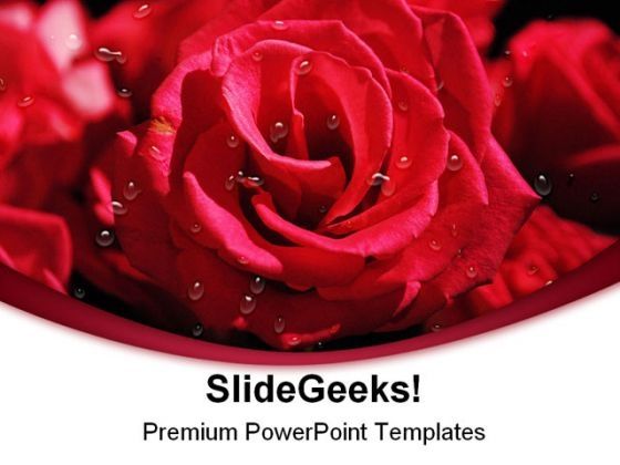 pink_roses_beauty_powerpoint_templates_and_powerpoint_backgrounds_0211_title.jpg