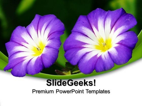 purple_flower_nature_powerpoint_templates_and_powerpoint_themes_0512_title.jpg